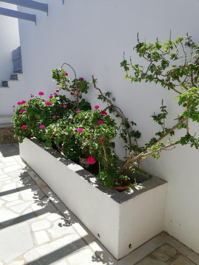 Poseidonio Of Paros Aparthotel Aliki  Exterior photo